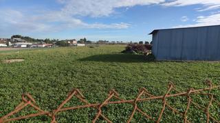 Terreny residencial  El algarrobo. Parcela cerca del maestre, en la via de servicio