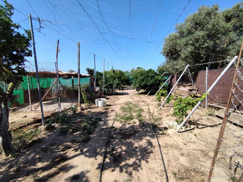 Foto 3081bb2e-60c1-493f-8630-ce47143a46b9. Terreno residencial invernadero para arreglar en vereda del chapitel. en Chipiona