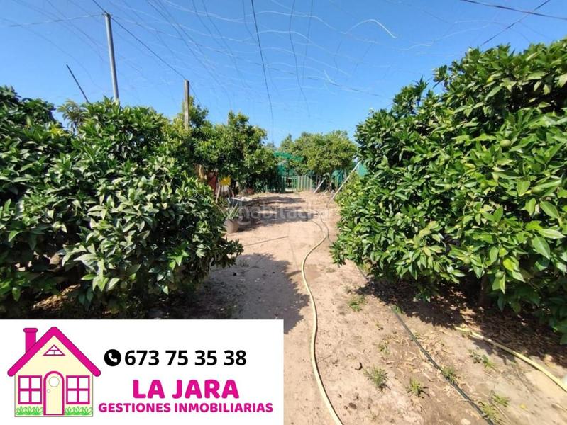 Foto a10ceb0e-9301-4053-aac6-0974733c2de0. Terreno residencial invernadero para arreglar en vereda del chapitel. en Chipiona