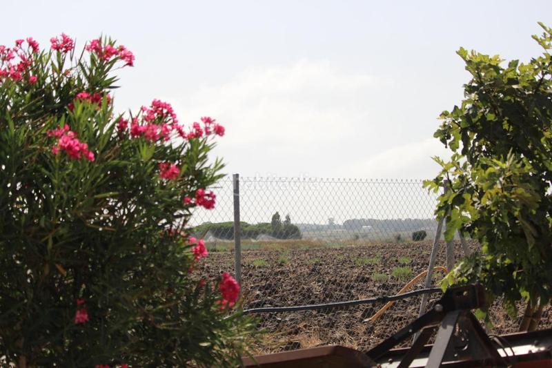 Foto e2708669-3902-4f62-8739-fda61ae70ab0. Terreny residencial a Cuatro Pinos - El Carmen Puerto de Santa María (El)