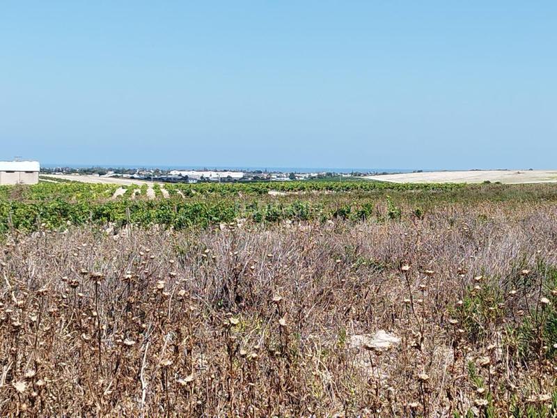 Foto 5d672e7e-58c2-45e1-9bcb-1ec76fd4ff57. Terreny residencial a Ayuntamiento-Barrio Alto Sanlúcar de Barrameda