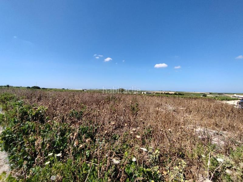 Foto 66fd2ab7-b0ab-47cc-a93b-e77cf6d898d1. Terreny residencial a Ayuntamiento-Barrio Alto Sanlúcar de Barrameda