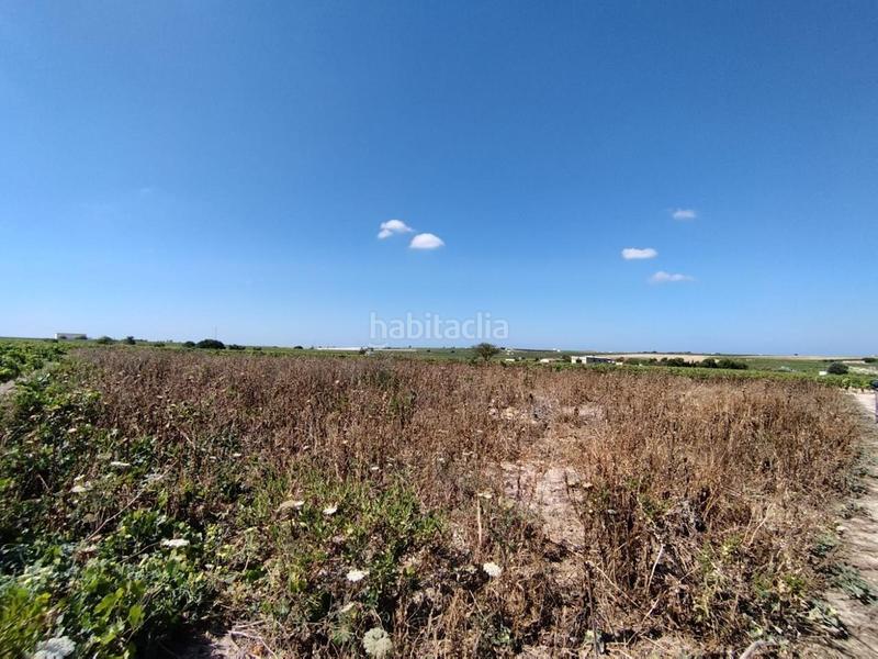 Foto 6d7c3d63-6c6d-44b9-9b7c-8d1891c4c7a4. Terreny residencial a Ayuntamiento-Barrio Alto Sanlúcar de Barrameda