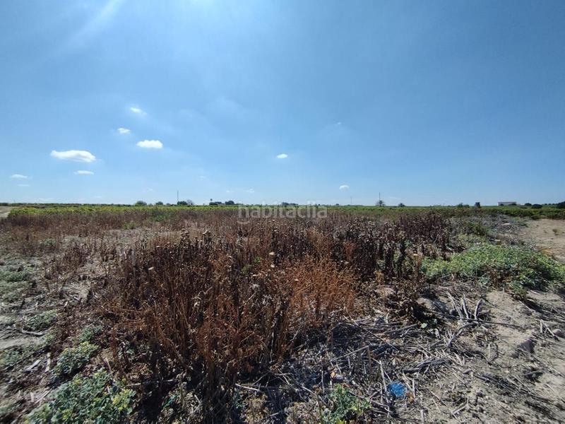 Foto bc4dac4a-66fb-4f13-a4cb-26495659ecff. Terreny residencial a Ayuntamiento-Barrio Alto Sanlúcar de Barrameda