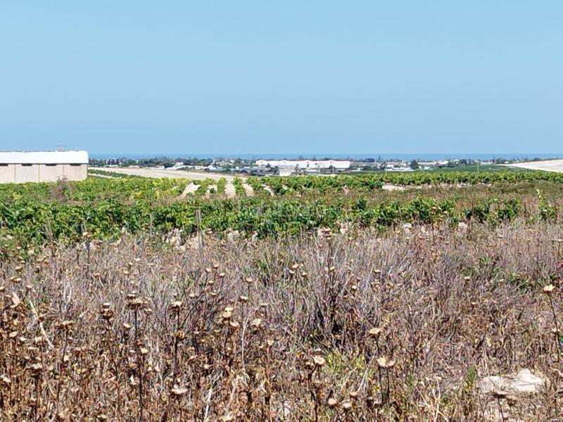 Foto dfb760e6-f55f-4504-8c70-362933f8c7d7. Terreny residencial a Ayuntamiento-Barrio Alto Sanlúcar de Barrameda