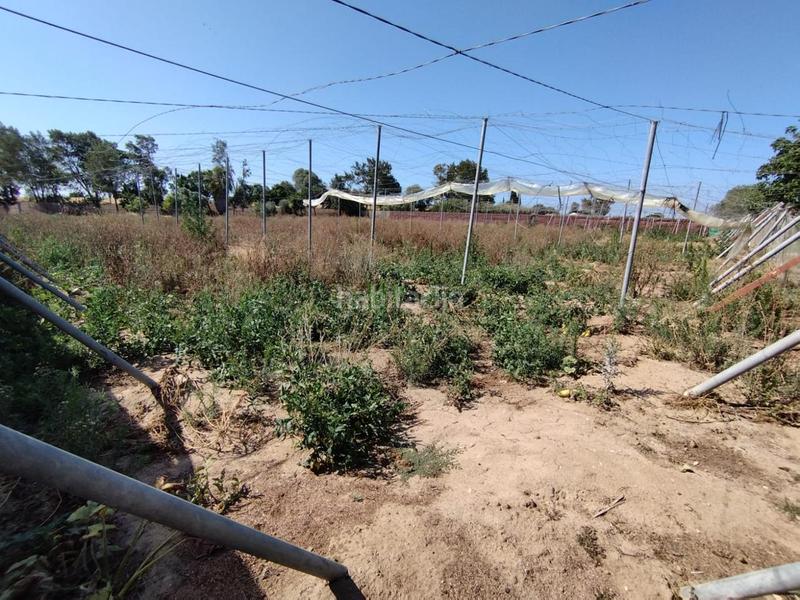 Foto 3ab8cd63-9e78-498a-885d-a5bc988e1042. Terreno residenziale in Centro Chipiona