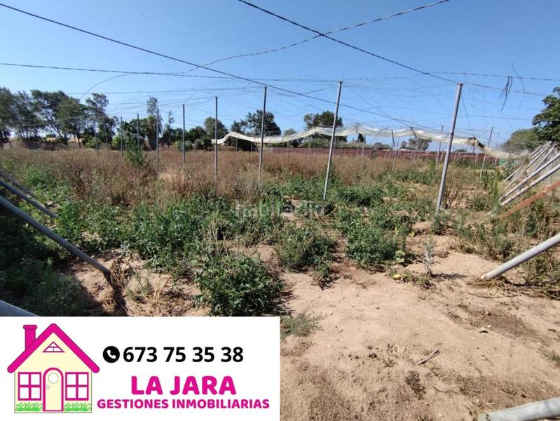 Foto 4a1c7046-2b02-4777-8fe1-09c208e2c6d2. Terreno residenziale in Centro Chipiona