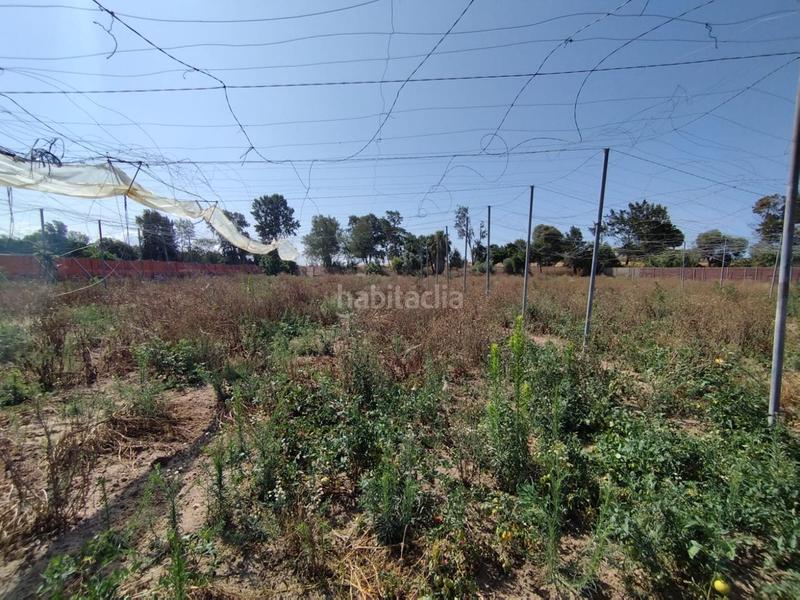 Foto 7e01aa2b-b046-4b1b-801f-4146ce697c84. Terreno residenziale in Centro Chipiona