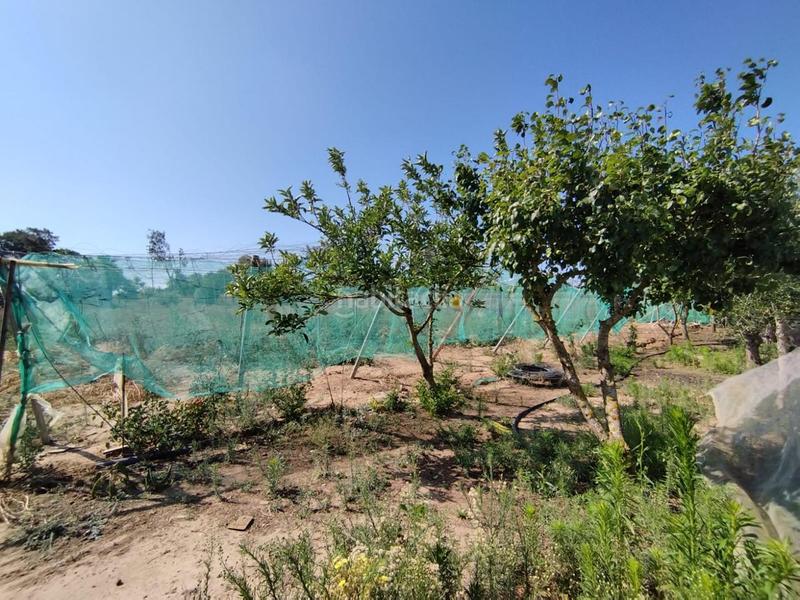 Foto b3dc1ec1-6230-4e79-b92d-9c14f688ead4. Terreno residenziale in Centro Chipiona