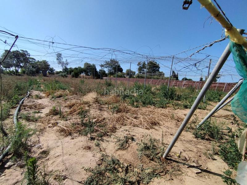 Foto b5408ae6-26ed-41f3-86a3-73f3957be74f. Terreno residenziale in Centro Chipiona