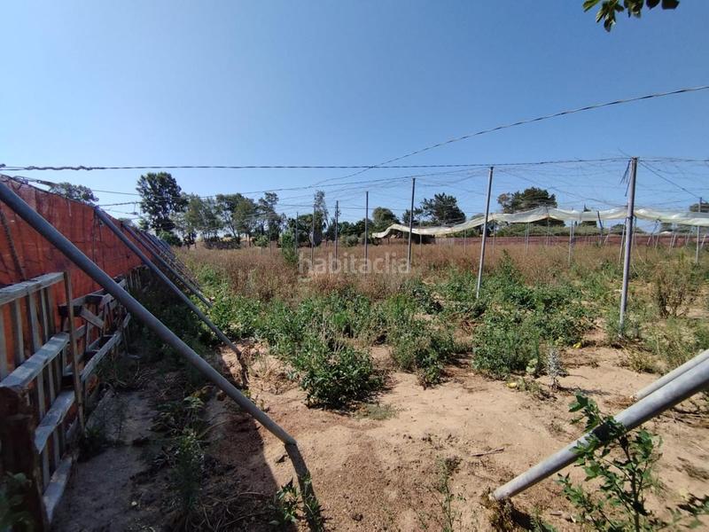 Foto eccab3d4-3b06-4210-a319-9fbf6d6338c1. Terreno residenziale in Centro Chipiona