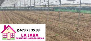 Terreny residencial  De la reyerta. Invernadero en pagollano