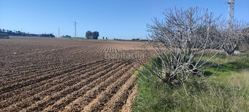 Foto 2fc8ee4d-75c8-421b-8389-f204f2c58e4c. Mas dans Aguadulce - Almadraba - Punta Candor Rota