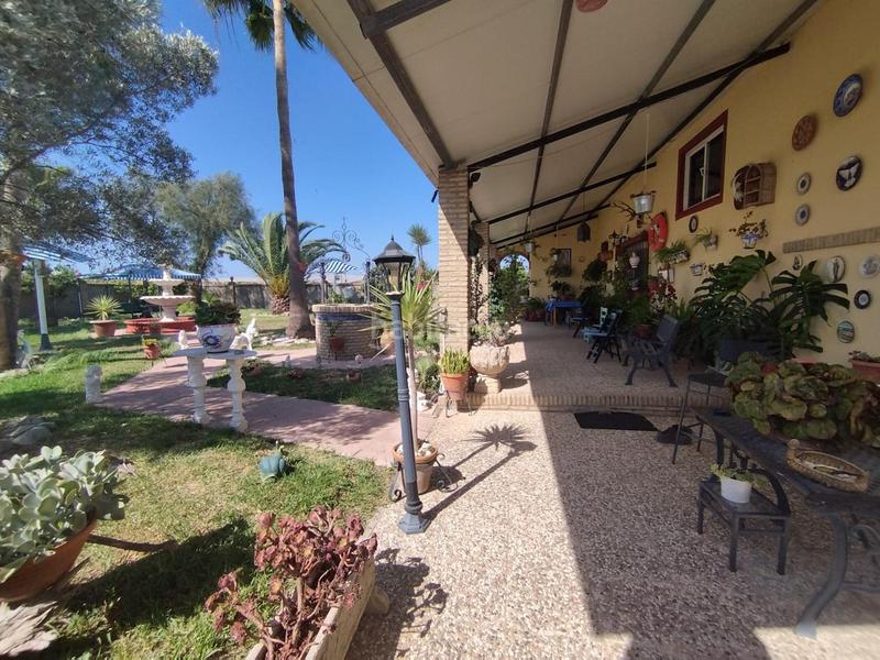 Foto d89a8719-7603-4cff-a1ad-e9890951ecda. Terreny residencial a Ayuntamiento-Barrio Alto Sanlúcar de Barrameda