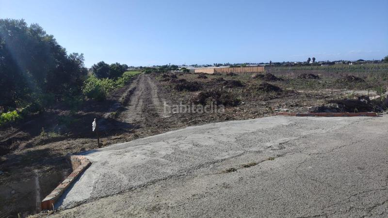 Foto bca76e68-45f6-49c9-8196-7a0709248d9f. Finca rústica parcela de 970m en la reyerta. en Chipiona norte Chipiona