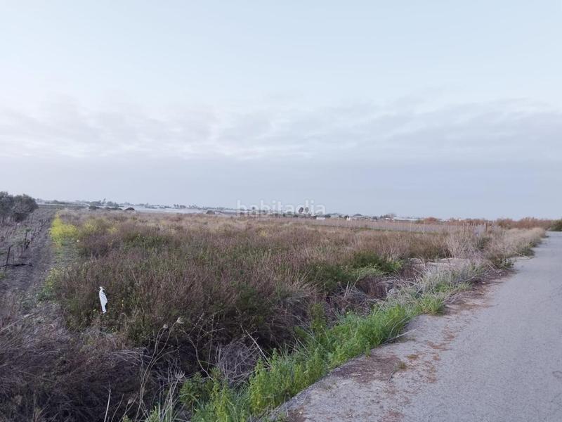 Foto bcbc13c8-739a-4de4-baaf-427ef49b3d6d. Finca rústica parcela de 970m en la reyerta. en Chipiona norte Chipiona