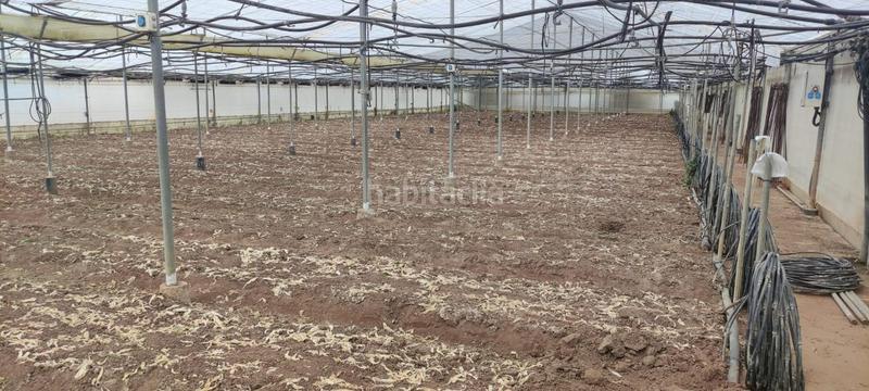 Foto 3191ad84-2ae8-4e74-ba37-e6aebb15c41c. Finca rústica a Chipiona norte Chipiona