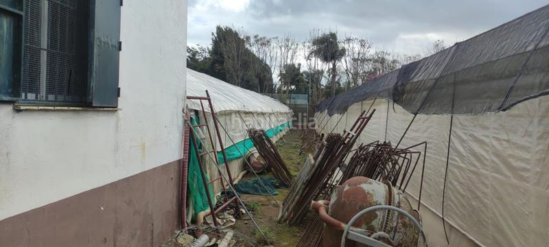 Foto 61a00f8c-6ac5-4598-b886-eacf8c47afca. Finca rústica a Chipiona norte Chipiona