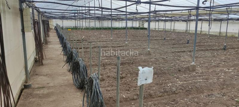 Foto 8a44e690-0294-4827-84b6-4fecb3a1df45. Finca rústica a Chipiona norte Chipiona