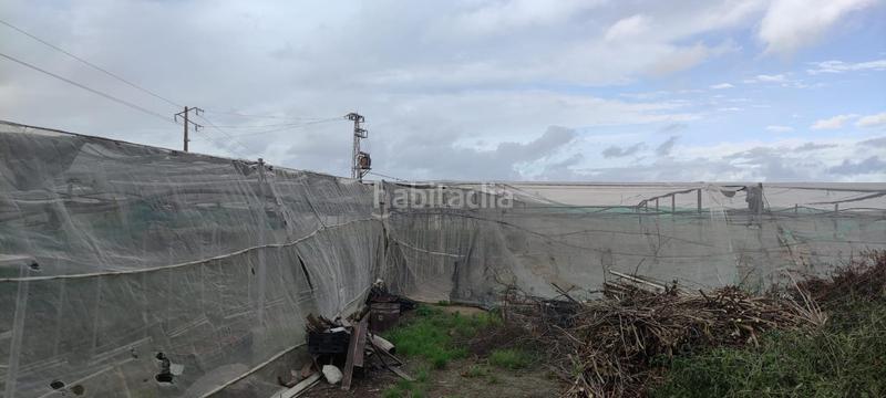 Foto 97ee7c14-99ee-4cdd-84a4-4102a7a713b4. Finca rústica a Chipiona norte Chipiona