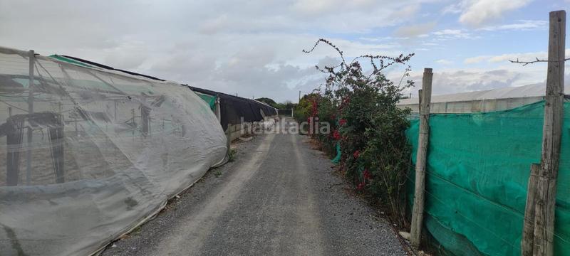 Foto 981e79ba-5a38-4b05-a2b6-c54bed4f5cb9. Finca rústica a Chipiona norte Chipiona