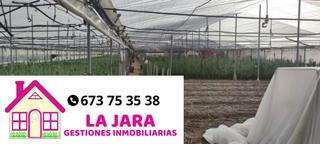 Finca rústica  De jerez. Magnífica finca en pago lopina, chipiona.