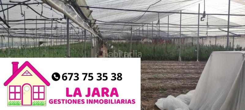 Foto 9885092d-adb1-4fd1-b1a6-7f6d386fe23c. Finca rústica a Chipiona norte Chipiona