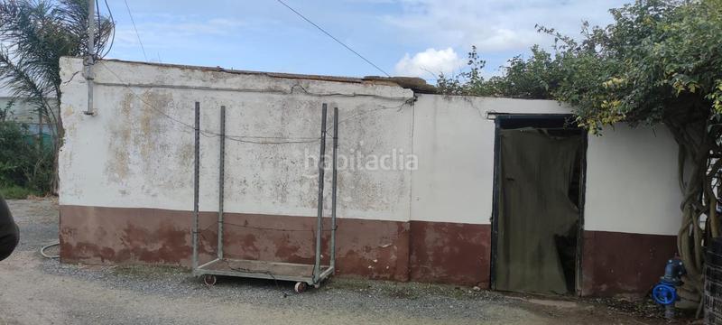 Foto b444c272-16a0-476d-b1da-d9e02580be77. Finca rústica a Chipiona norte Chipiona