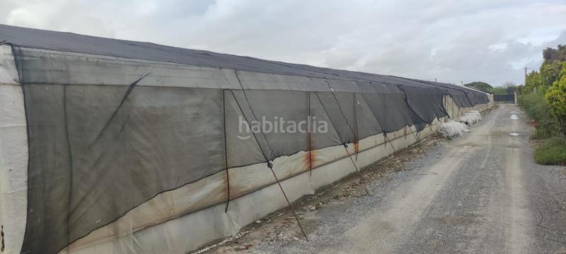 Foto de5d8d27-834b-4225-9fce-91d16ccf9a17. Finca rústica a Chipiona norte Chipiona