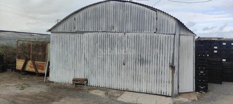 Foto ebf17095-98f4-40a3-8788-f5ff3dc6d4ea. Finca rústica a Chipiona norte Chipiona