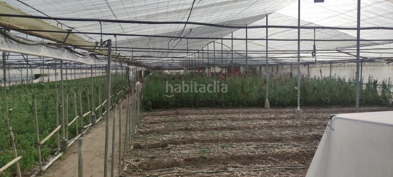 Foto f4f30ff1-8c69-476d-a6ef-775c07720e18. Finca rústica a Chipiona norte Chipiona