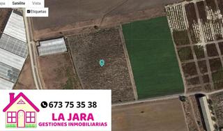 Landgut  Punta del águila. Viñedo en punta del aguila