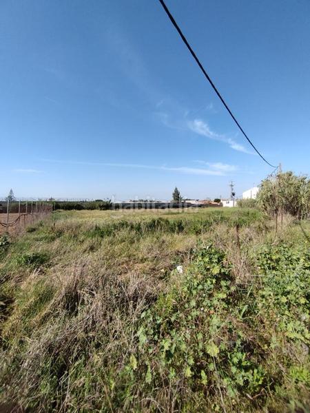 Foto 5ae0f434-a65d-434c-a81b-8e0b46aedc0a. Residential plot in La Jara Sanlúcar de Barrameda