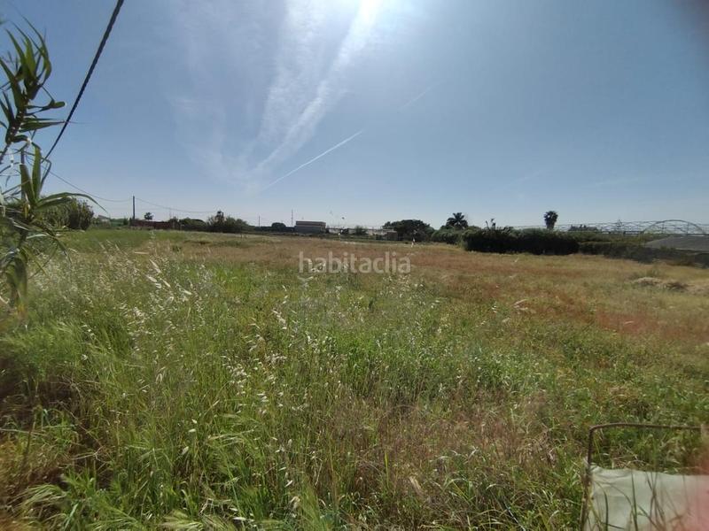 Foto e0ea057f-314d-4fd6-9b70-0a68e1b9adaf. Residential plot in La Jara Sanlúcar de Barrameda