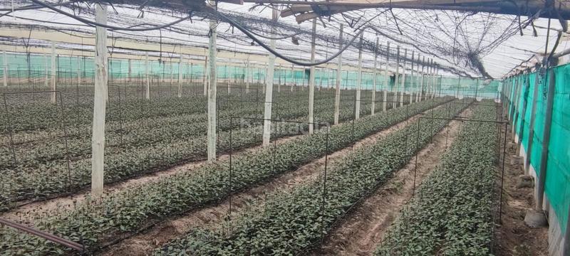 Foto 4f49e700-a928-429a-8f71-4c2118d9c7e0. Terreno residencial finca de invernaderos con facilidad de pago en Sanlúcar de Barrameda