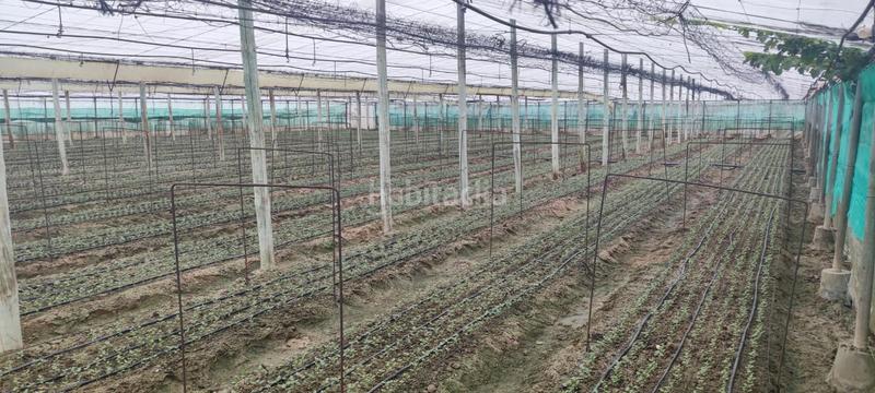 Foto 50073261-6a48-4b1f-acef-aa65dd72435a. Terreno residencial finca de invernaderos con facilidad de pago en Sanlúcar de Barrameda