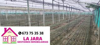 Terreny residencial  Del hato. Finca de invernaderos con facilidad de pago