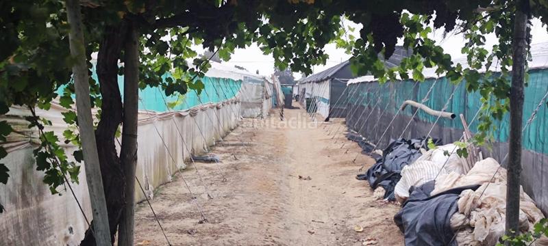 Foto b6705d95-867a-4b01-86be-b41466ec39c0. Terreno residencial finca de invernaderos con facilidad de pago en Sanlúcar de Barrameda