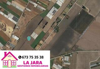 Finca rústica  La loma. Parcela en la loma baja
