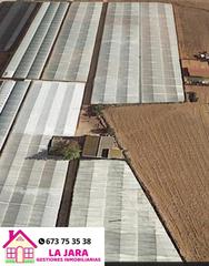 Finca rústica  De jerez, chipiona. Finca de invernaderos en chipiona