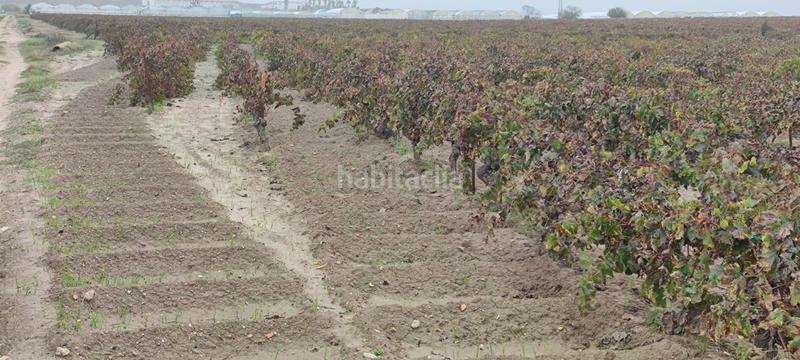 Foto 1c018429-fb3a-42f4-9f38-9504c4a25288. Finca rústica a Ayuntamiento-Barrio Alto Sanlúcar de Barrameda
