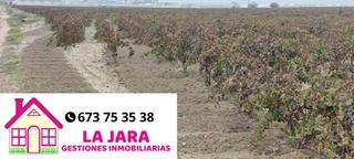 Finca rústica  El espejo. Viñas en el espejo del carrascal.