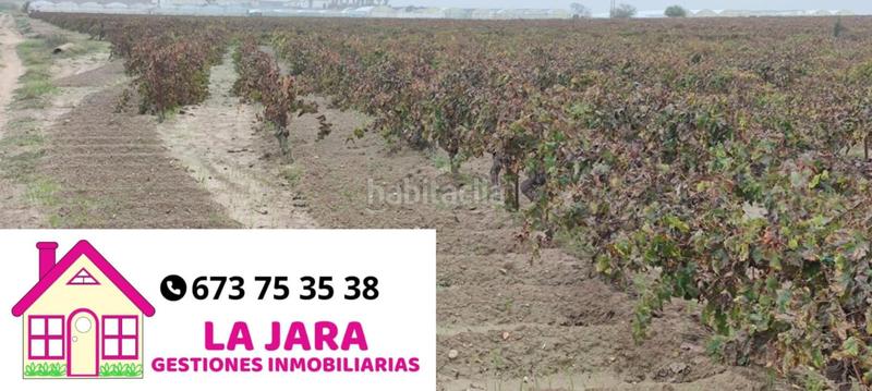 Foto 3311bdff-724f-42e8-a9fe-a0c52a61bb6c. Finca rústica a Ayuntamiento-Barrio Alto Sanlúcar de Barrameda