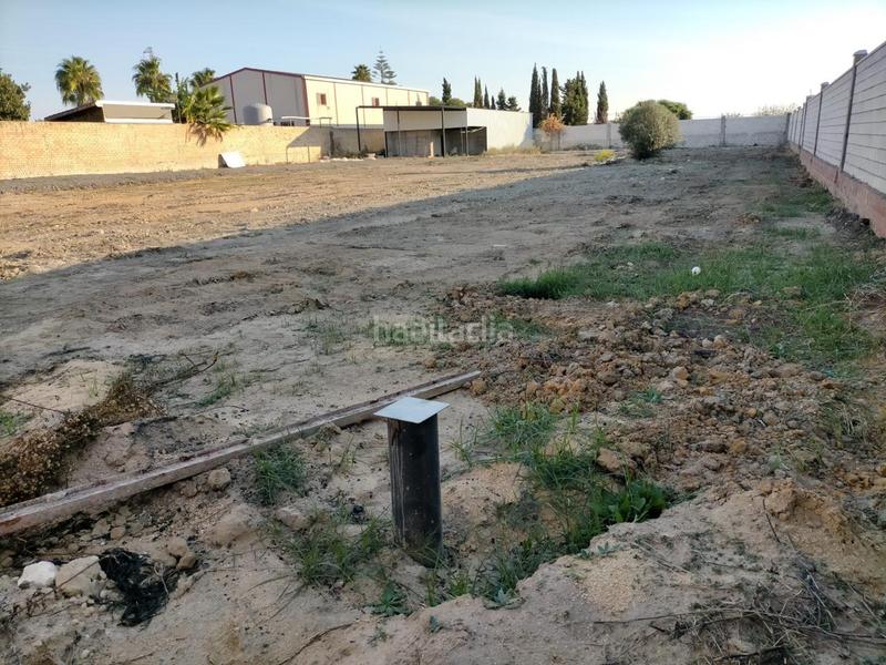 Foto 1913e0f9-110f-4554-874b-155b60c54425. Terreno residencial parcela en camino munive en La Jara Sanlúcar de Barrameda