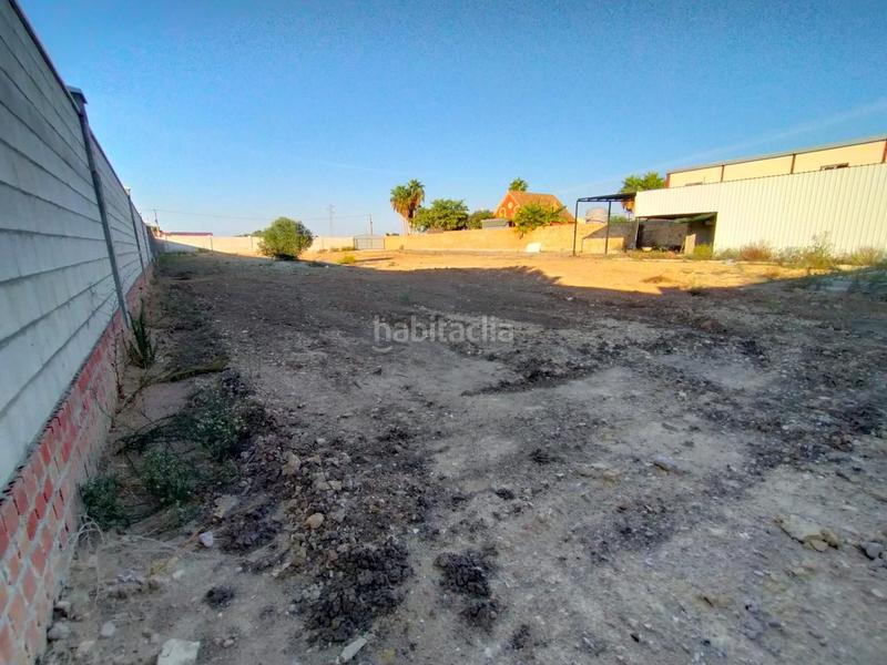 Foto df443410-218a-4d96-a854-39525e06aa1d. Terreno residencial parcela en camino munive en La Jara Sanlúcar de Barrameda