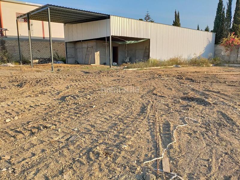 Foto e39a5966-b943-4d44-9529-39a8c05f95d9. Terreno residencial parcela en camino munive en La Jara Sanlúcar de Barrameda