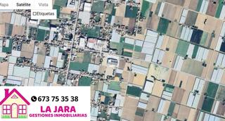 Landgut  La algaida. Parcela en la algaida