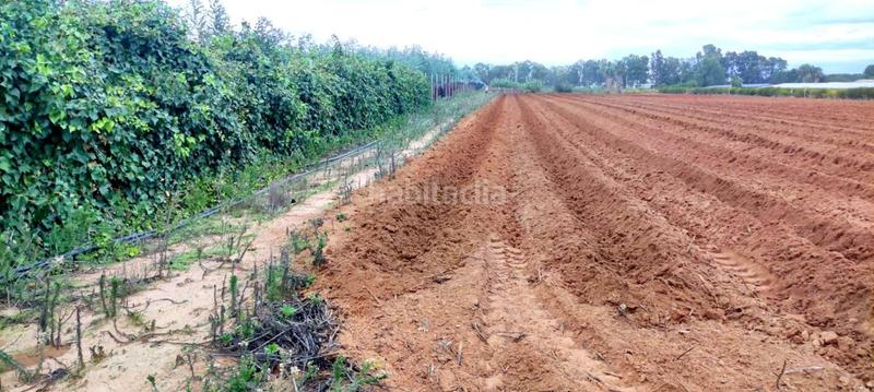 Foto 08df7af0-81fd-436e-8e17-50cae876a60a. Propriété dans Chipiona norte Chipiona