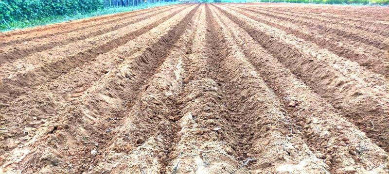 Foto 400e347e-ef9d-46fd-aa70-e2e78c901316. Propriété dans Chipiona norte Chipiona