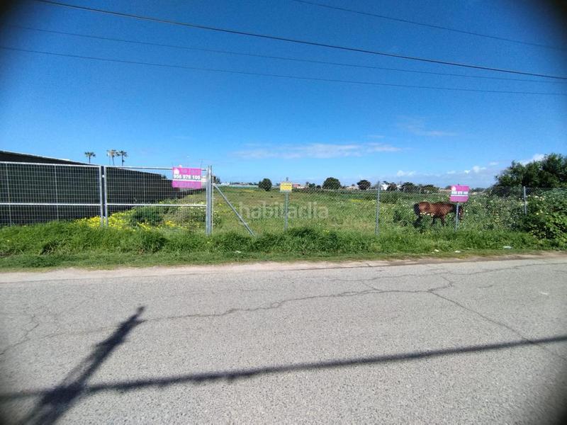 Foto 58db4a73-8443-4e7c-b0cc-229e9899553a. Finca rústica magnífica parcela en montijo en La Jara Sanlúcar de Barrameda